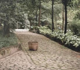Woven basket sitting on a curved stone pathway surrounded by lush greenery and tall trees in a peaceful garden setting