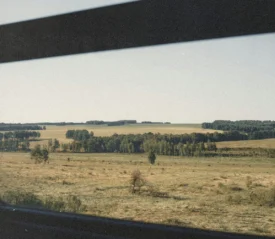 Rolling countryside and distant tree line framed by the train window