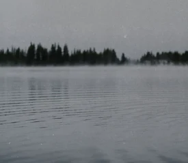 A small, mist-covered island lined with tall trees appears in the distance across a calm lake, with soft ripples moving across the water under a gray sky