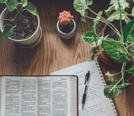 Open Bible on a wooden table beside a notebook and pen, surrounded by potted plants