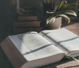 An open Bible lies on a wooden table beside potted plants, with sunlight casting soft shadows across the pages