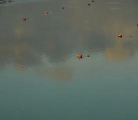 Lake with buoys