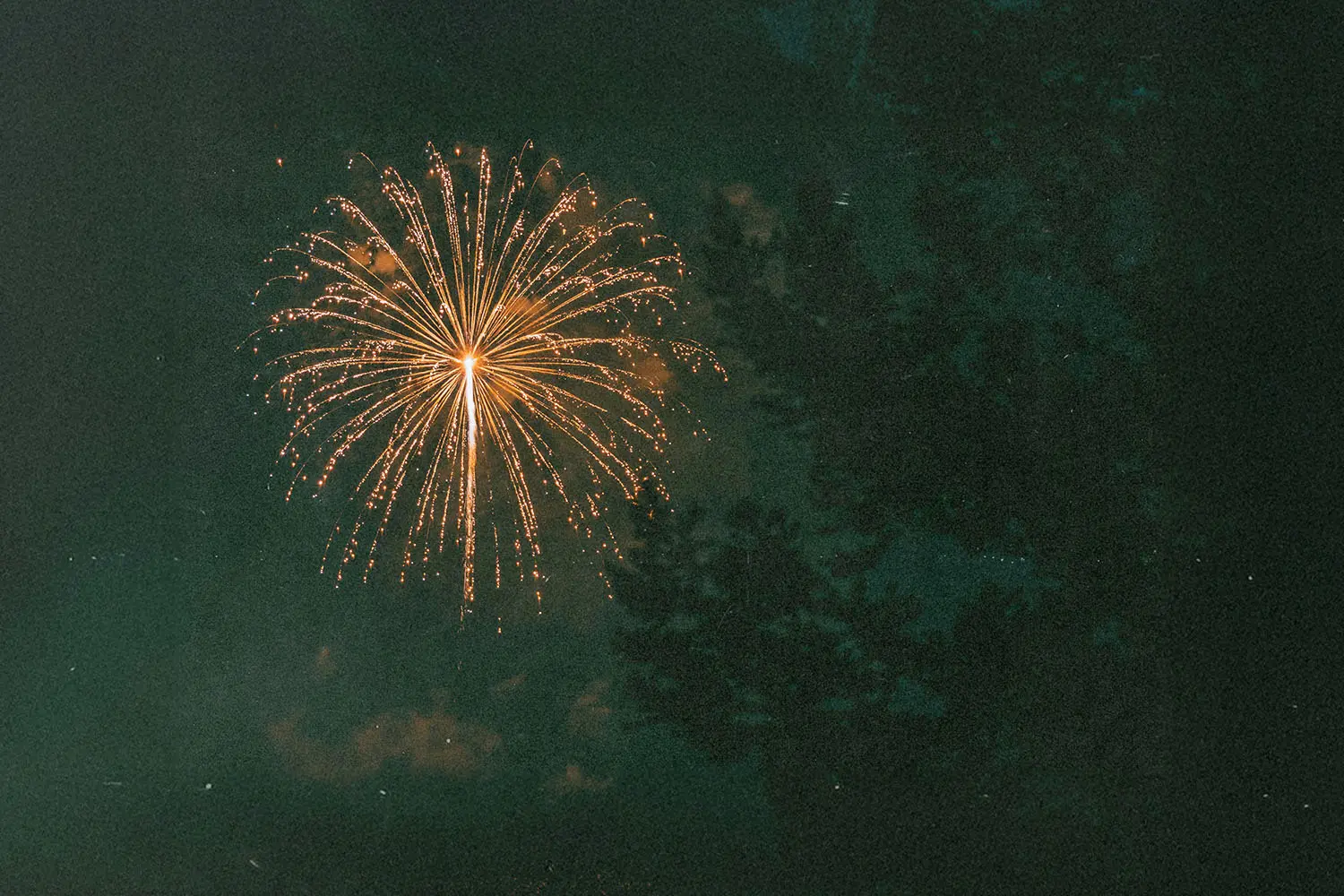 A Happy New Year