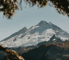 Shot from the tree line of a snowy mountain in the distance