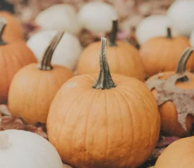 Orange and white pumpkins displayed on autumn leaves