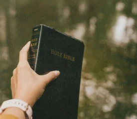 A hand holds up a black Holy Bible outdoors, with water reflecting soft natural light in the background