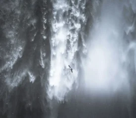 Bird flying in front of a massive waterfall, surrounded by mist and cascading water