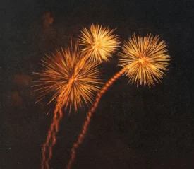 Fireworks in the clear night sky