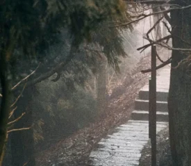 A misty stone pathway winding through dense trees, symbolizing the path to success and progress toward personal and professional goals.