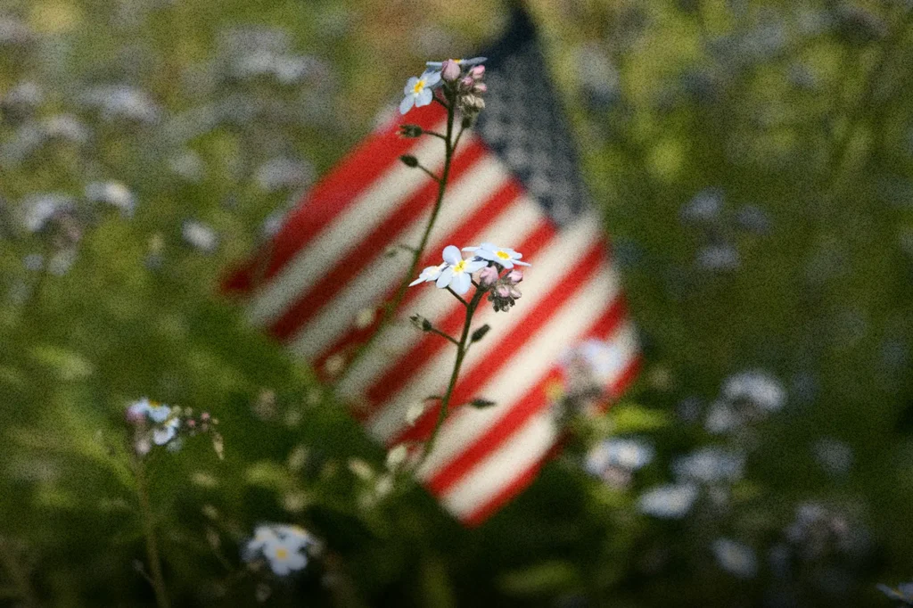 Wildflowers in focus with a softly blurred American flag behind them, symbolizing Memorial Day remembrance and honoring the fallen who gave their lives.