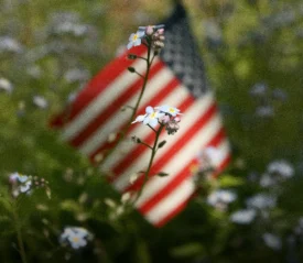 Wildflowers in focus with a softly blurred American flag behind them, symbolizing Memorial Day remembrance and honoring the fallen who gave their lives.