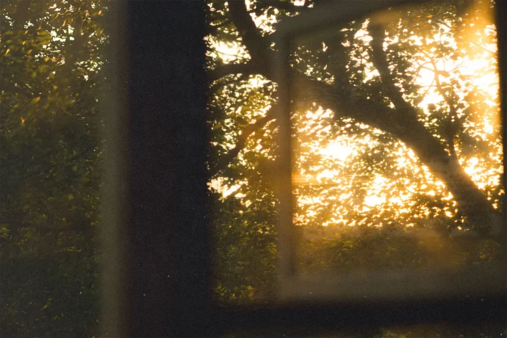 Sun shining through window.