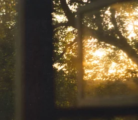 Sun shining through window.