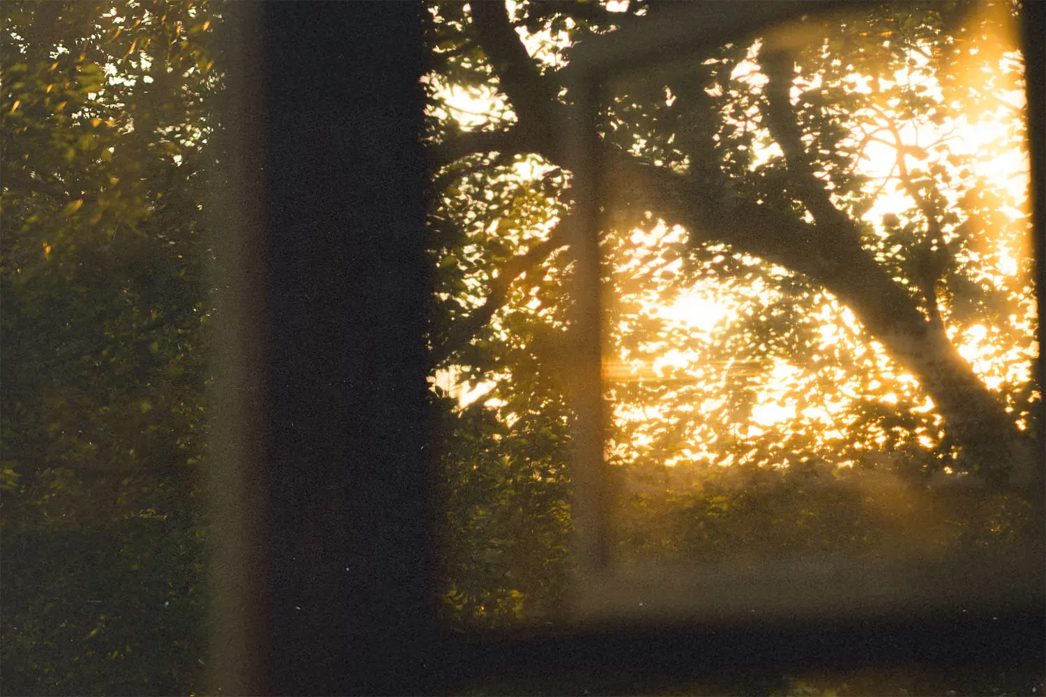 Sun shining through window.