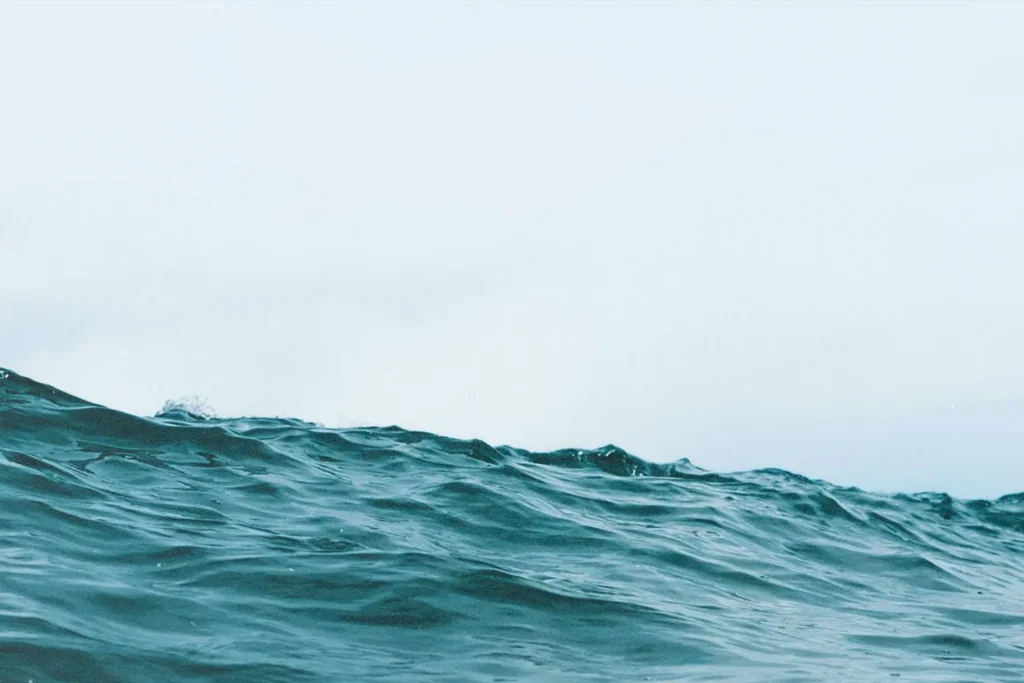 A gentle ocean wave rises against a pale sky, with soft light reflecting off the textured surface of the water