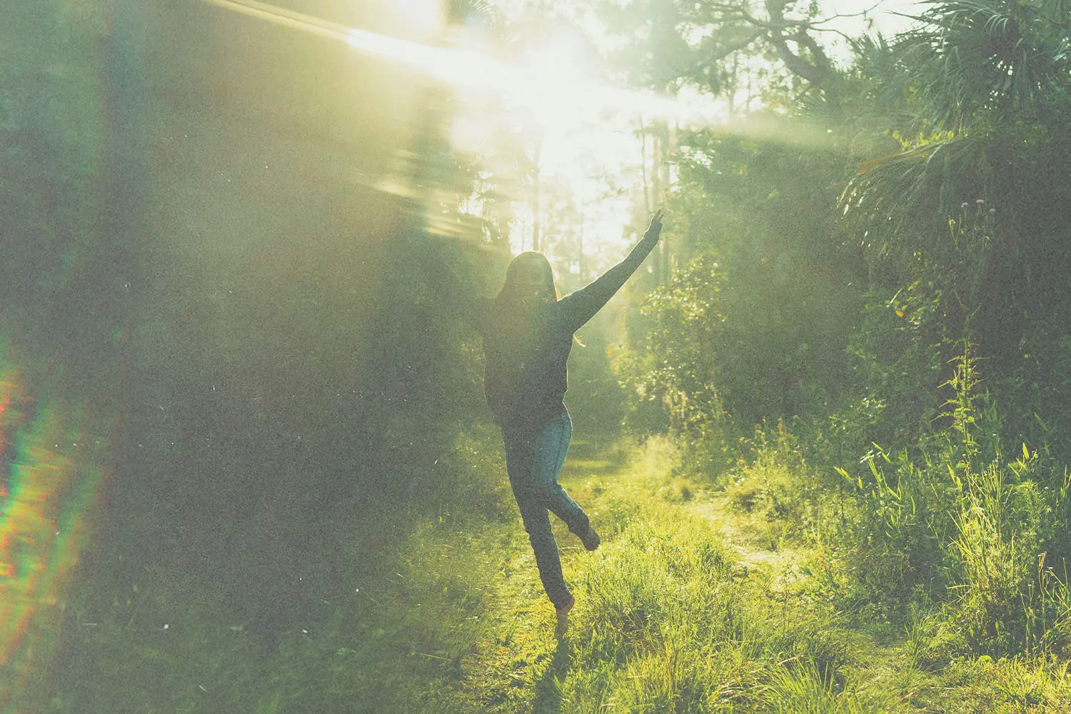 A person stands on a sunlit forest path with arms raised, surrounded by tall trees and bright rays of light streaming through the foliage