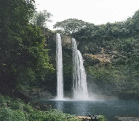 Twin streams of water falling from a green, moss-covered cliff into a misty basin