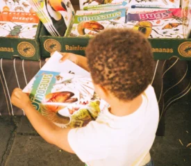 A young child looks at a colorful dinosaur-themed book while standing in front of a display of nature and insect books