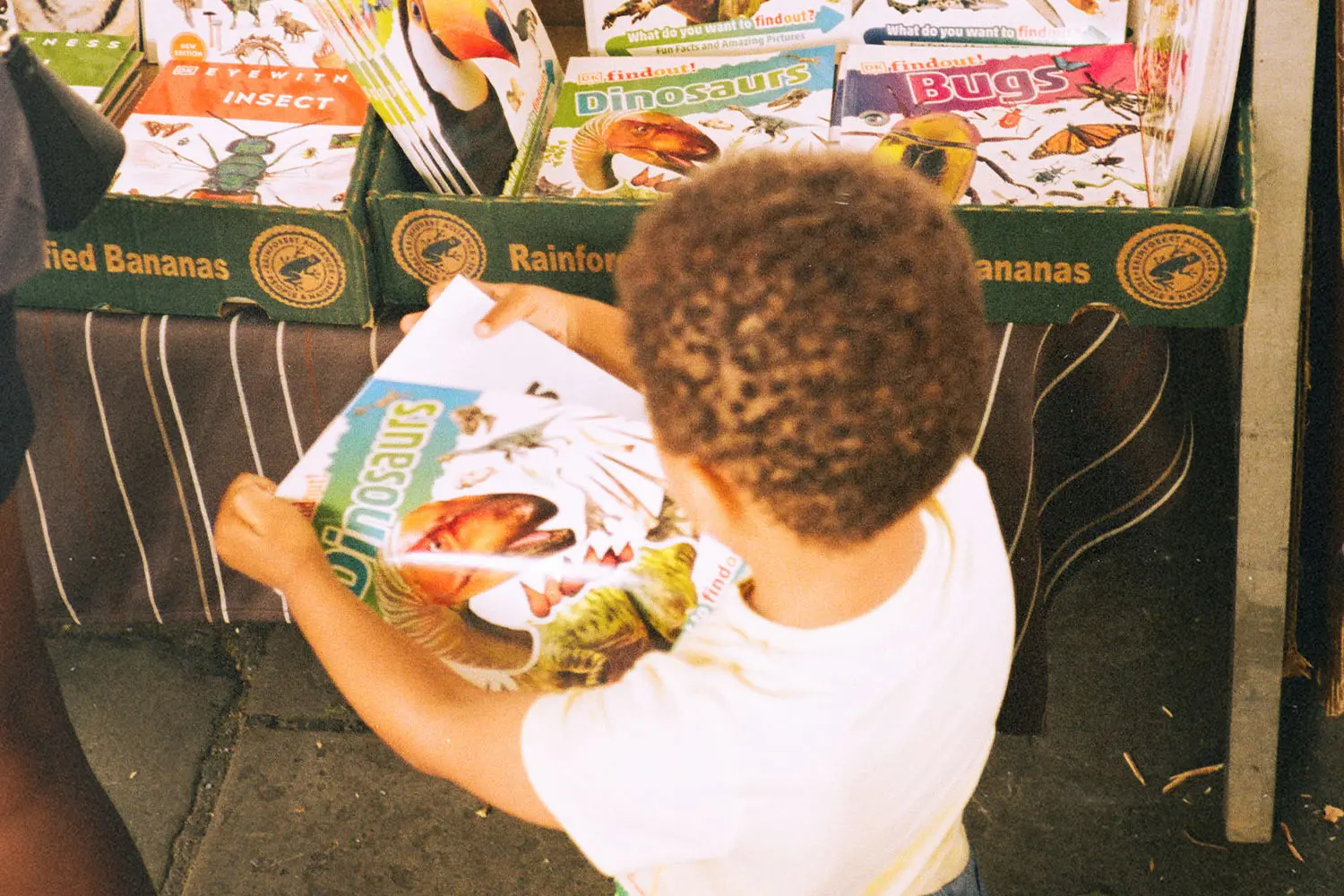 A young child looks at a colorful dinosaur-themed book while standing in front of a display of nature and insect books