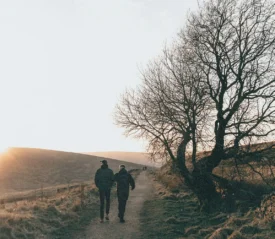 Two people walk along a dirt path through an open countryside at sunset, with a bare tree on one side