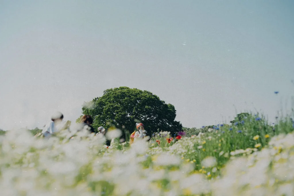 Group of people walking through a sunny wildflower field with a large green tree in the background under a clear sky