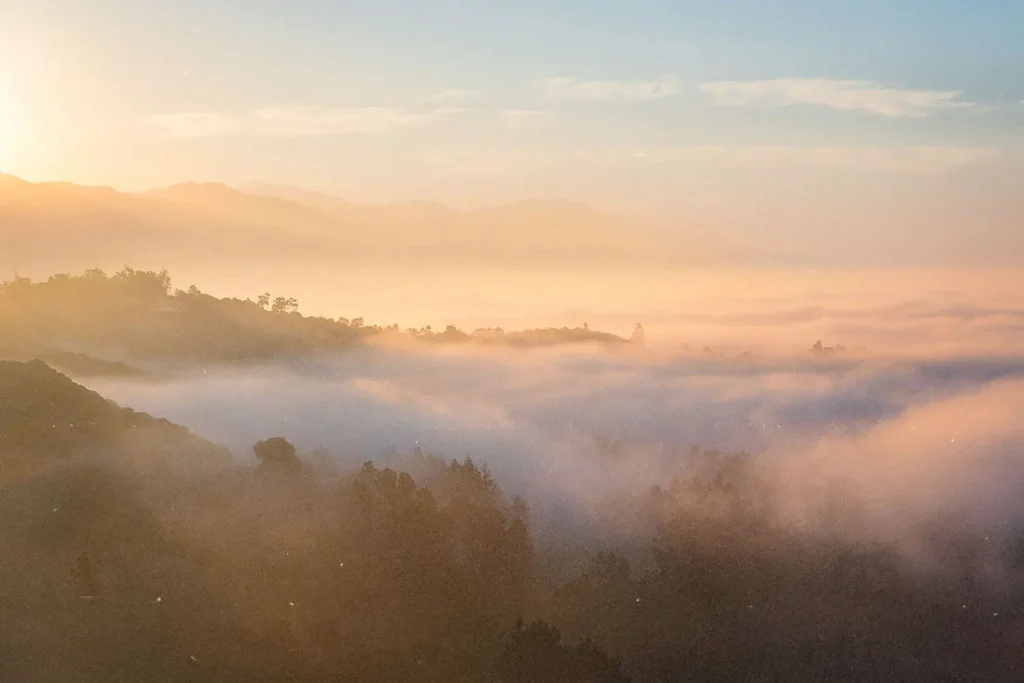 A golden sunrise casts warm light over rolling hills and treetops as a blanket of soft mist drifts through the valleys below