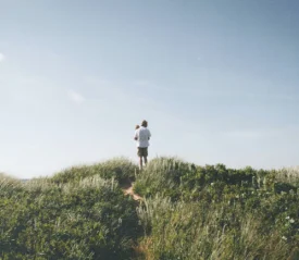 A father holding his son, walking a narrow path atop a grassy hills, surrounded by tall green vegetation under a clear blue sky