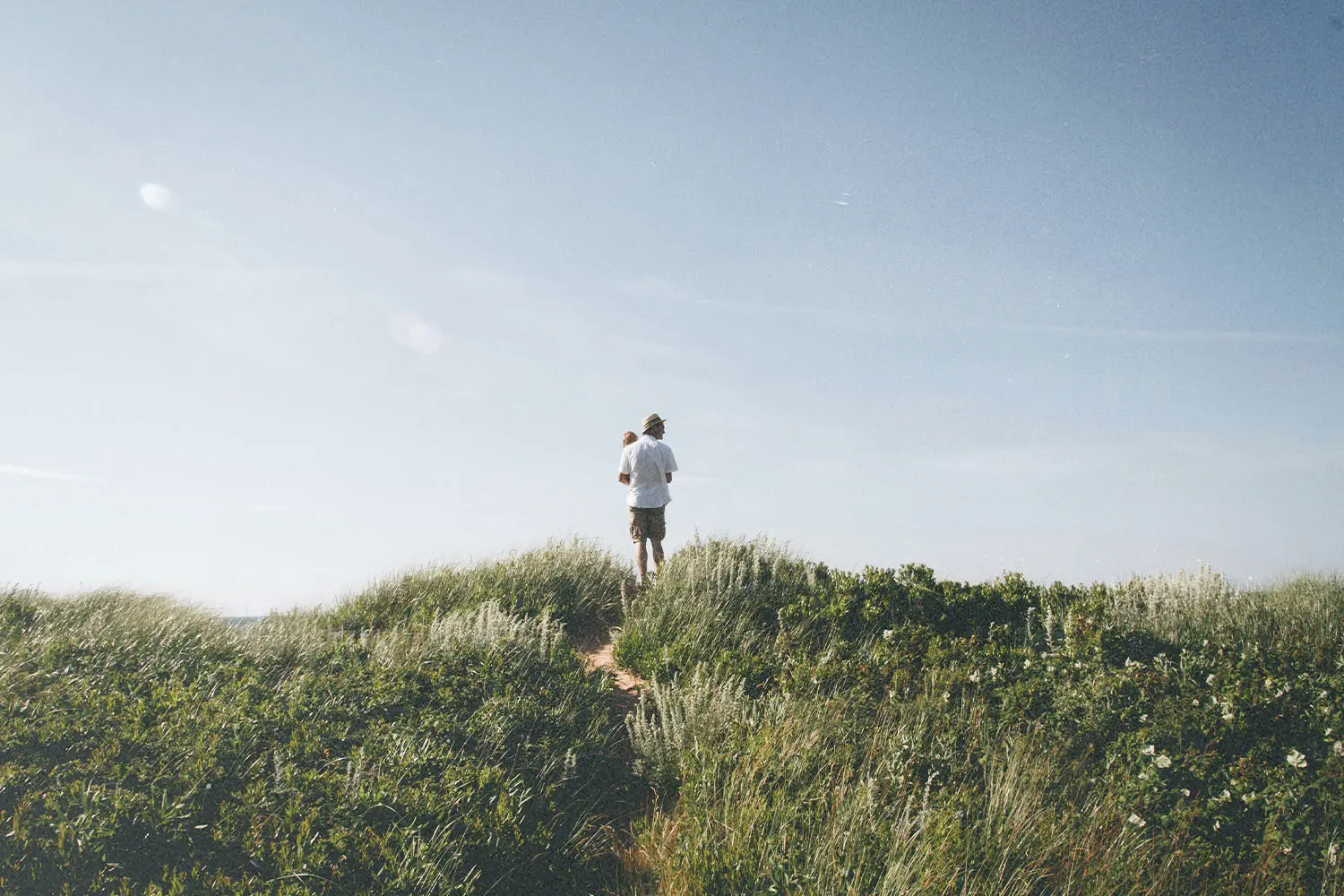 A father holding his son, walking a narrow path atop a grassy hills, surrounded by tall green vegetation under a clear blue sky