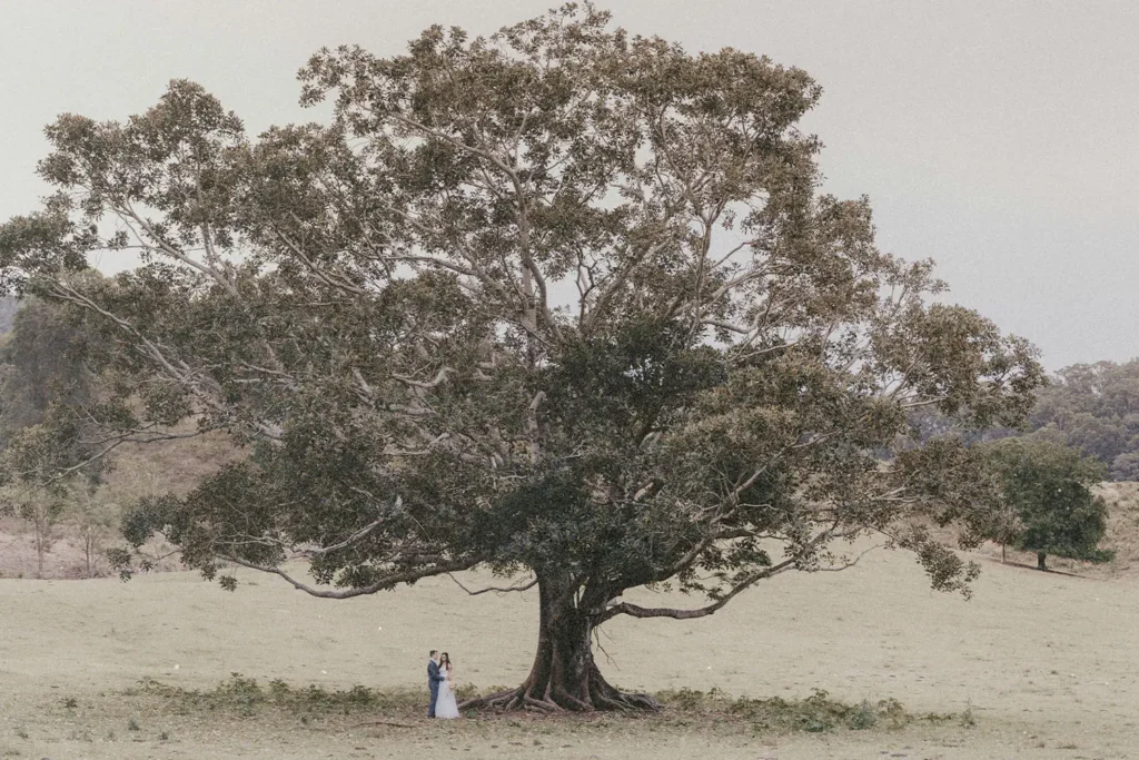 A married couple stands beneath a massive, wide‑spreading tree in an open field, appearing small under its large canopy