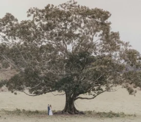 A married couple stands beneath a massive, wide‑spreading tree in an open field, appearing small under its large canopy