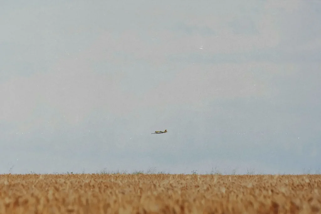 A small airplane flies low over a wide golden field of tall crops under an open sky