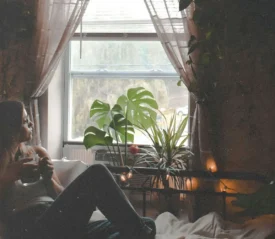 Person sitting on a bed holding a mug while looking out a bright window surrounded by lush indoor plants
