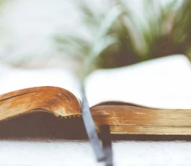 w-angle view of an open Bible with aged, textured pages and a dark ribbon bookmark