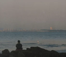 A person sits on rocky shoreline looking out over a calm body of water, with a distant city skyline visible across the horizon under a hazy sky