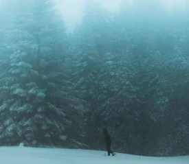 A person walks across a snowy clearing at the edge of a dense, mist‑covered forest of tall, frost‑laden evergreen trees