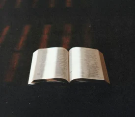 An open Bible rests on a dark surface with warm light softly illuminating the pages