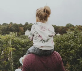 A small child sits on an adult’s shoulders while surrounded by rows of green orchard trees under an overcast sky