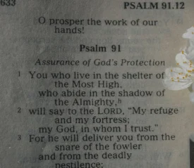 A close-up view of an open Bible showing the beginning of Psalm 91, with small white flowers resting along the page