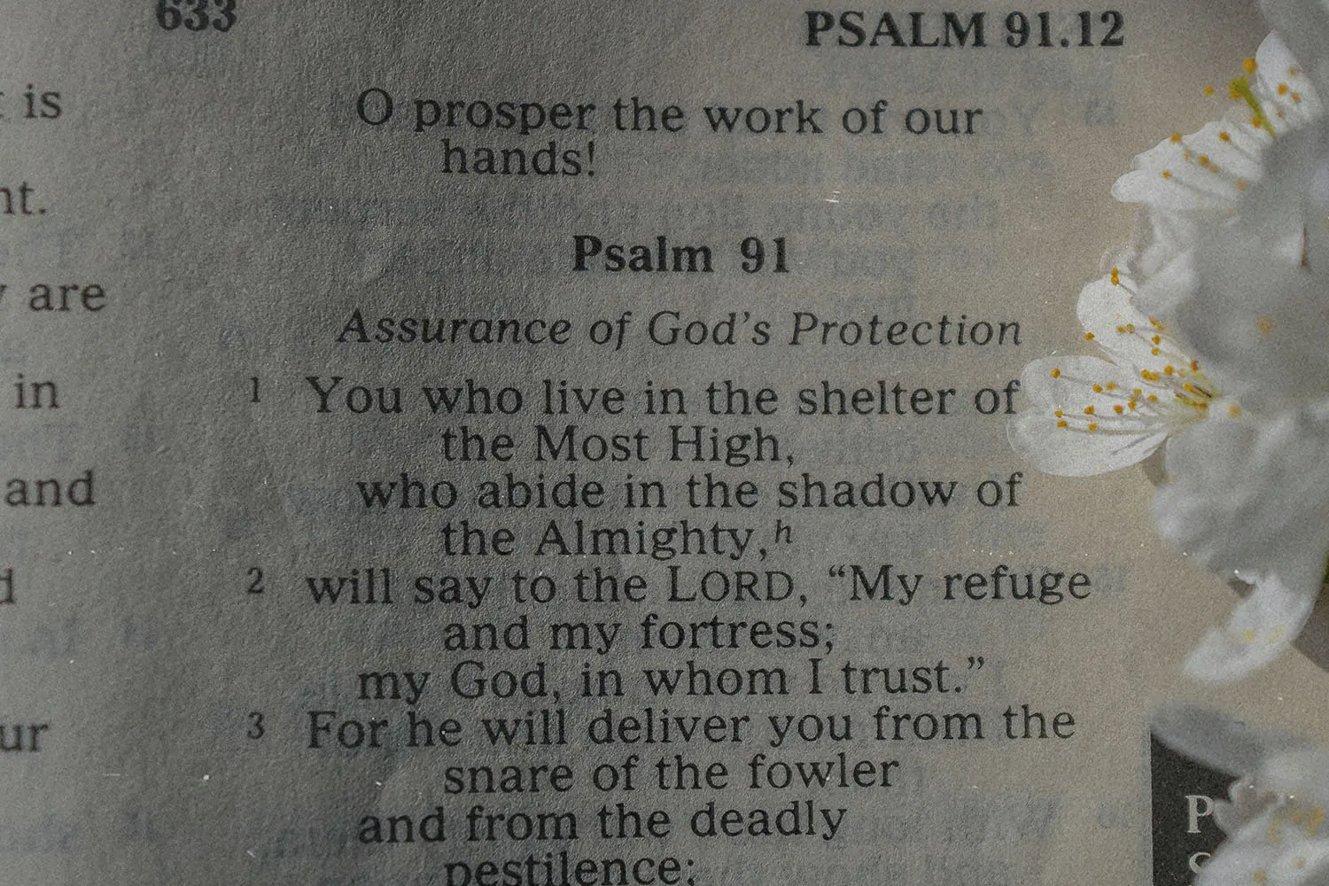 A close-up view of an open Bible showing the beginning of Psalm 91, with small white flowers resting along the page