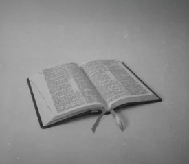 Open Bible resting on a flat surface with ribbon markers lying across the pages