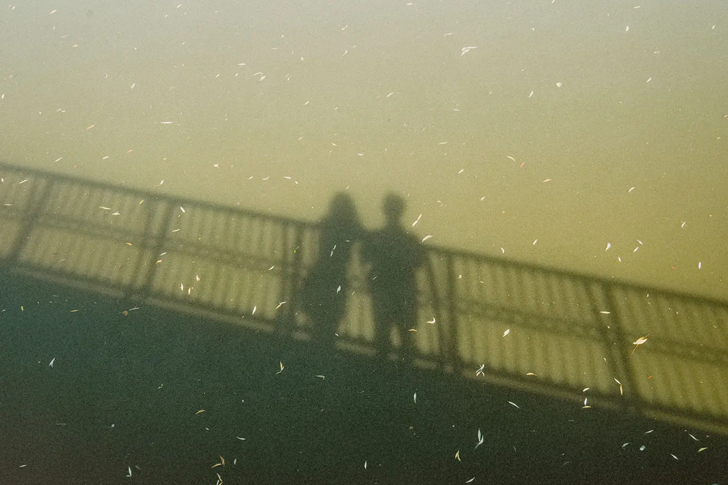 Shadowy silhouettes of two people standing close together on a bridge, captured from below