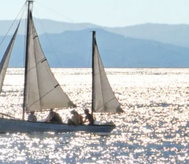 A small sailboat glides across shimmering sunlit water, carrying several people beneath three raised sails, with distant mountains visible on the horizon