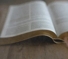 Open Bible resting on a wooden surface with pages slightly curved and soft natural light across the text