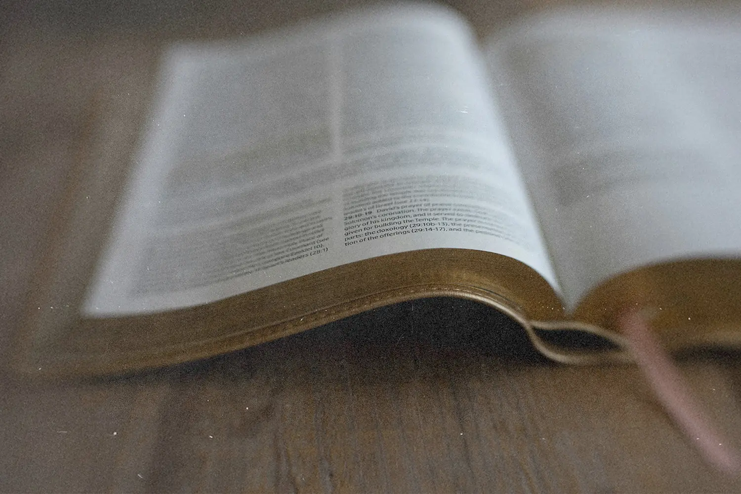 Open Bible resting on a wooden surface with pages slightly curved and soft natural light across the text