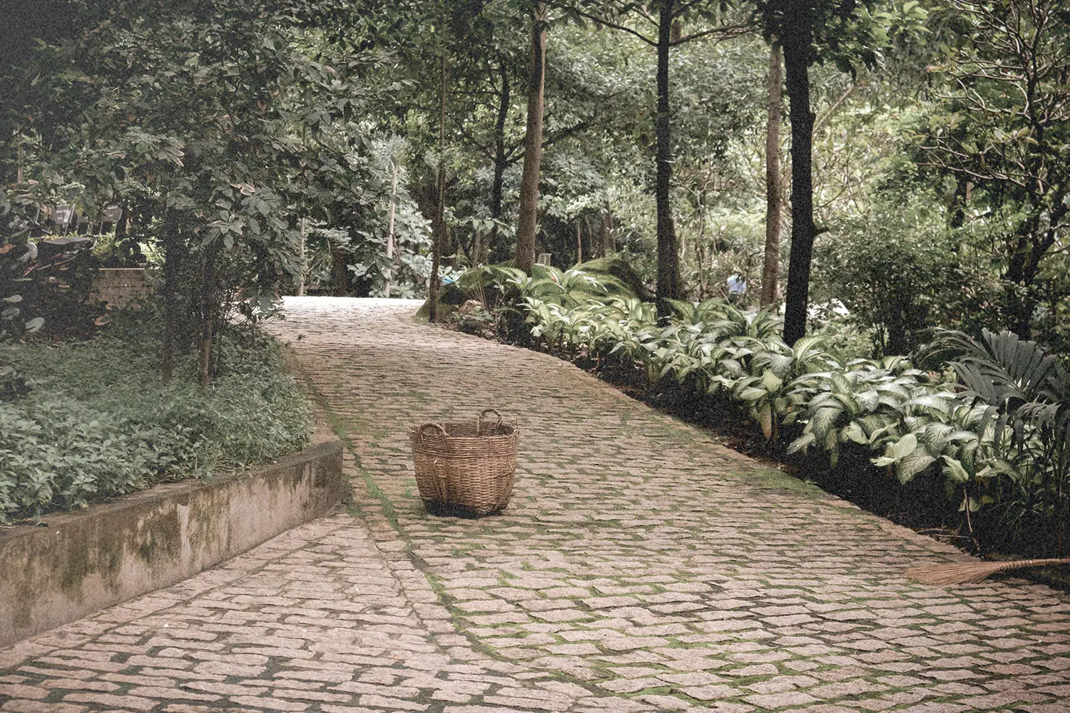 Woven basket sitting on a curved stone pathway surrounded by lush greenery and tall trees in a peaceful garden setting