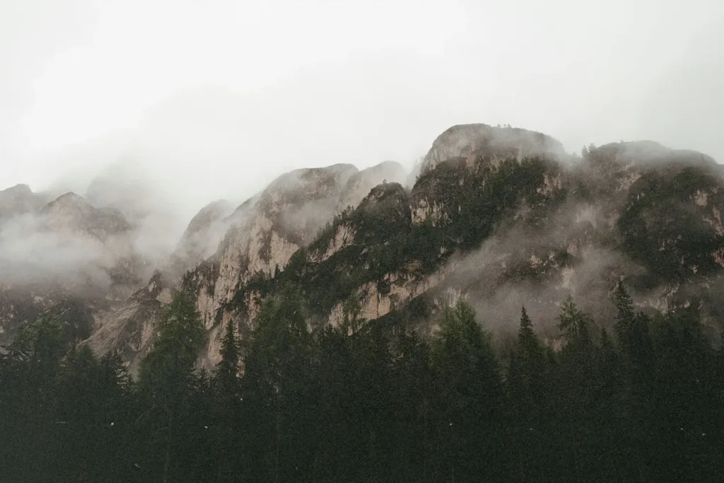 Misty mountains rising above a dense forest under an overcast sky