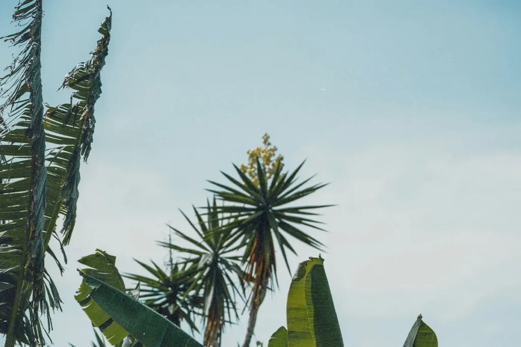 KCM Opens Offices in Colombia and Costa Rica!