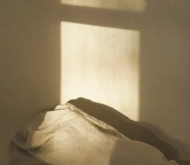 An empty bed covered in sunshine.