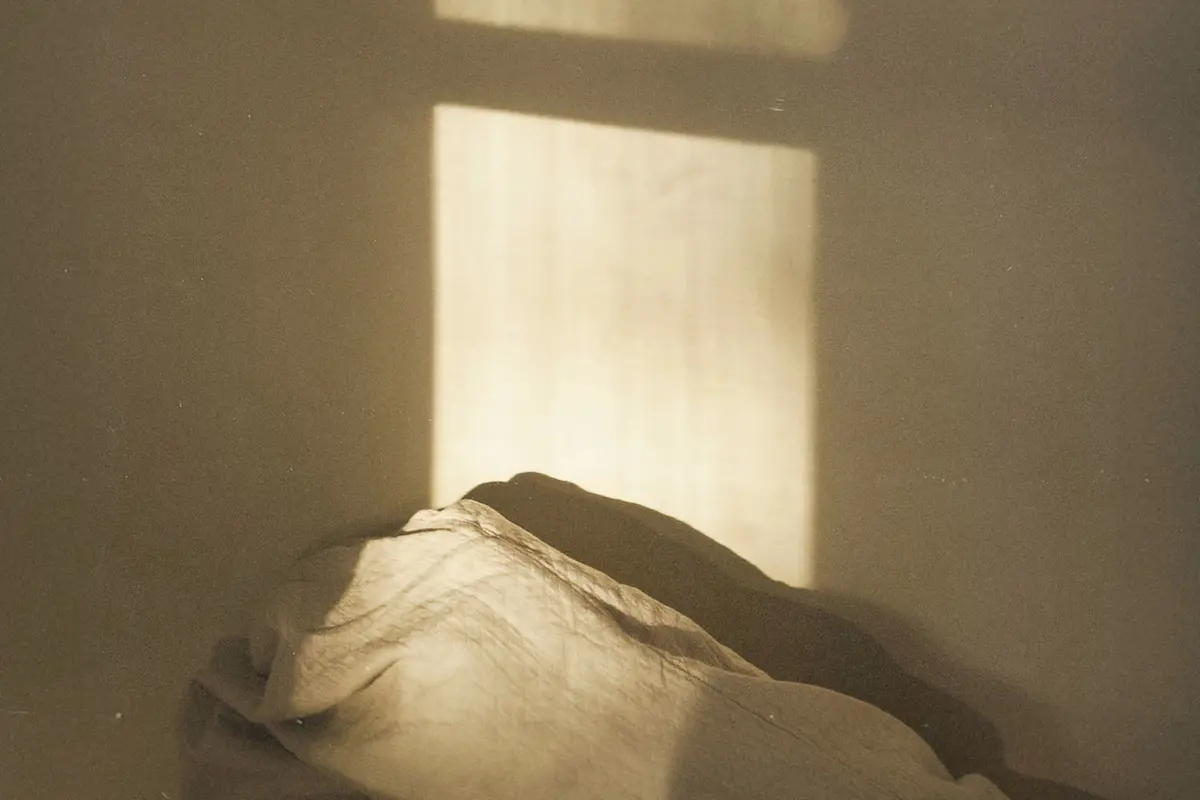 An empty bed covered in sunshine.