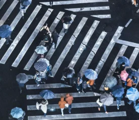 people walking across the crosswalk with umbrellas
